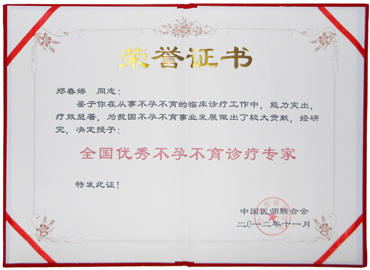 专家团队